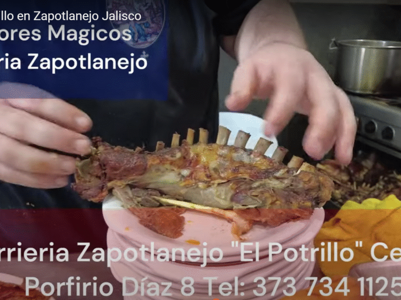 Birria El Potrillo en Zapotlanejo Jalisco